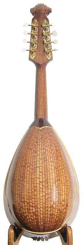 Bowl Back Mandolin Solid Spruce top solid curl Maple back Violin head NBMI