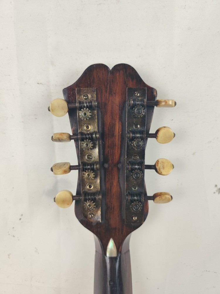 Mandolin 4/4 Querin Giuseppe 1900 Naples 曼陀林 만돌린マンドリン