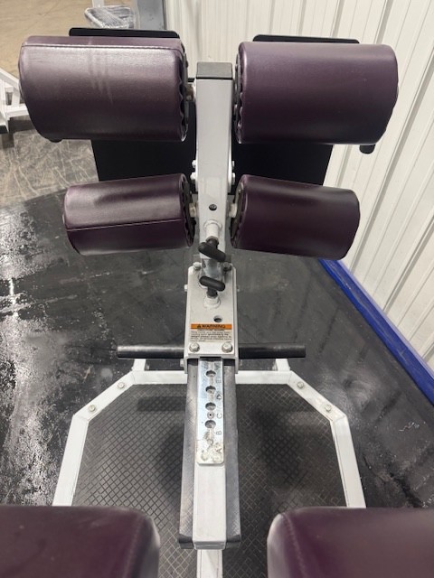 Power Lift | Posterior Chain Developer (FrankenHyper)
