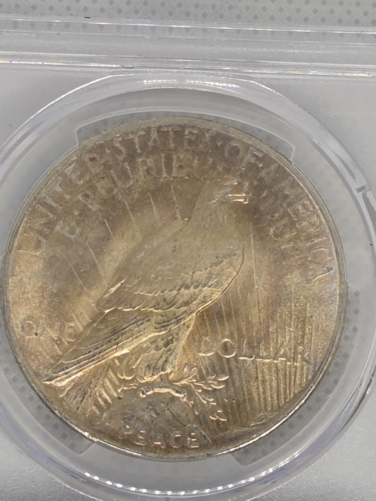 1925 $1 Peace Dollar PCGS MS63 Toned