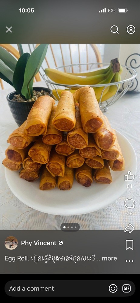 Egg Roll - Spring Roll Roller Board. 1 Size 4x9 (M)