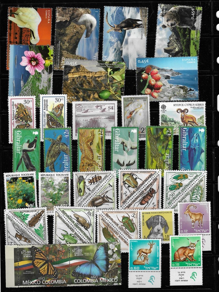 LOT. FAUNA. MINT.