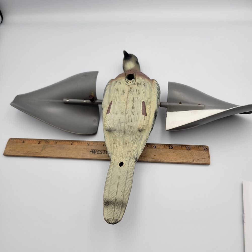 Pigeon Spinning Wing Decoy Bird Over 11" Tall, (READ)