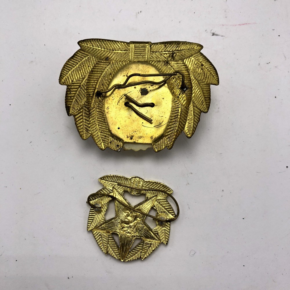 2 Lion Pins Military