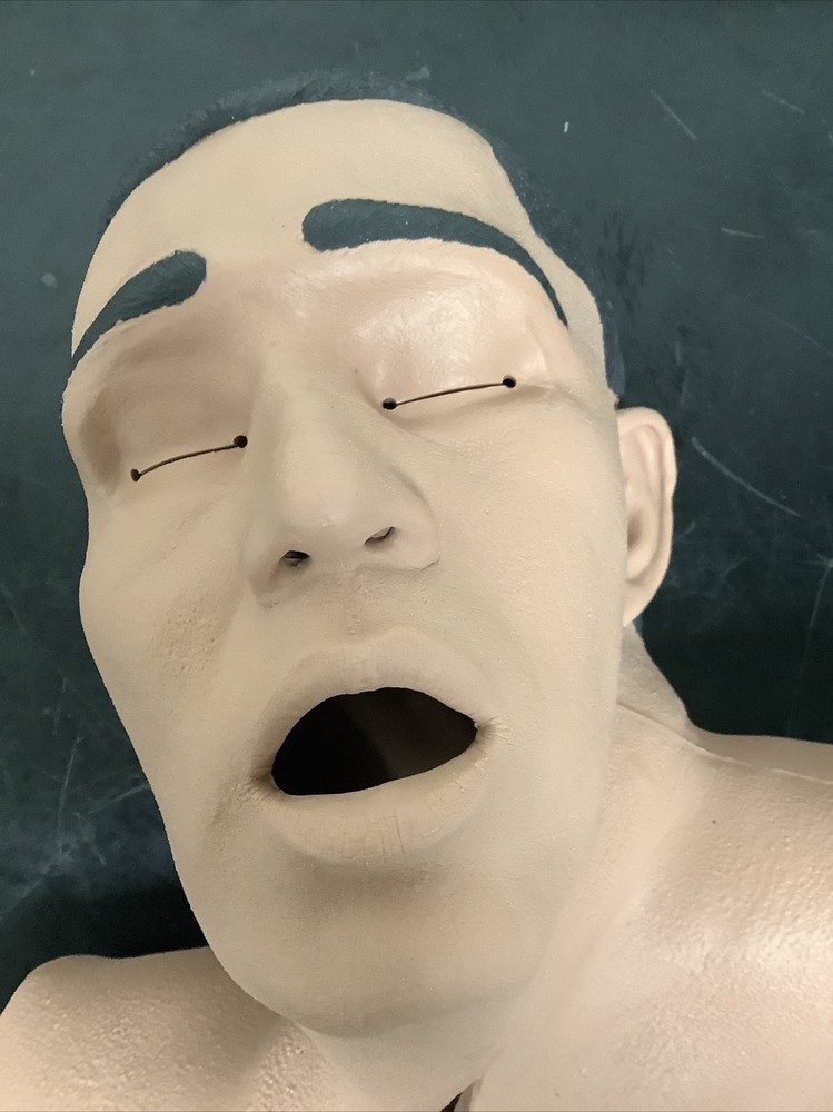 CAE MÉTI Head and Face Skin