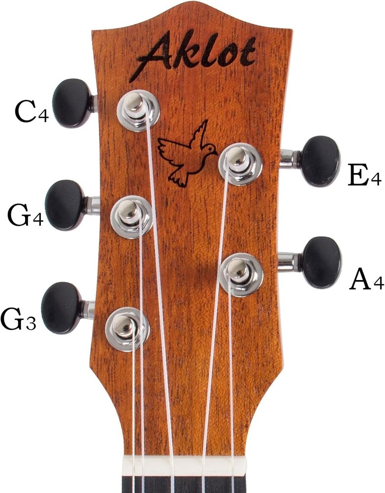Solid Mahogany 5 String Tenor Ukulele Bundle=