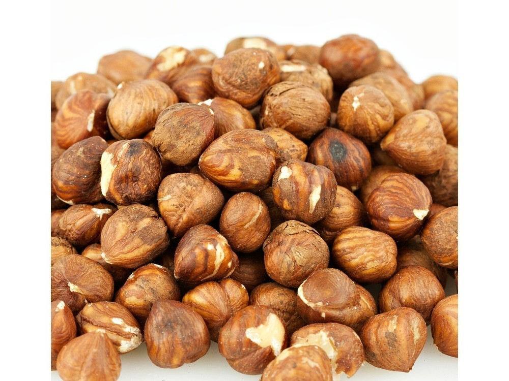 Shelled Raw Filberts 1 Pound