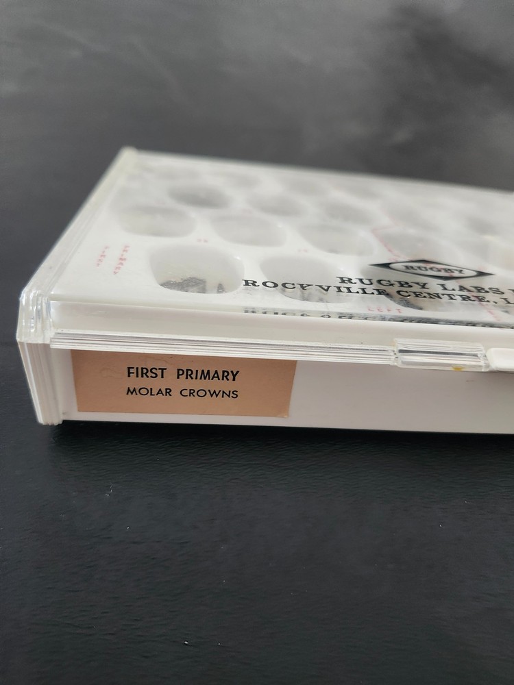 First Primary Molar Crowns by Rugby Labs