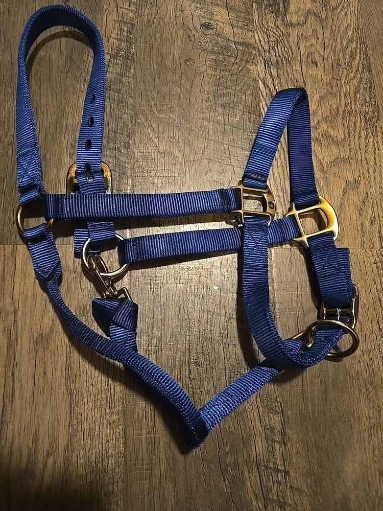 Horse Halter