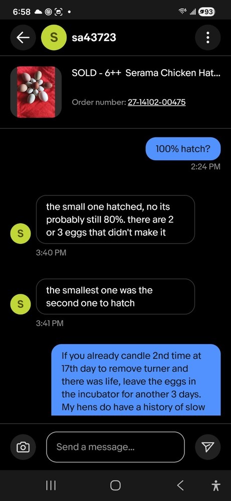 6++ Extreme Malaysian Serama Chicken Hatching Eggs (micro)