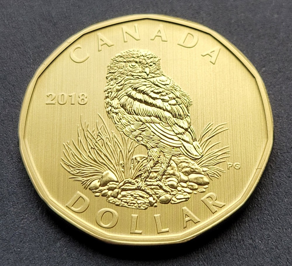 ***  CANADA   LOONIE  2018  ***  SPECIMEN  ***  BURROWING  OWL  ***