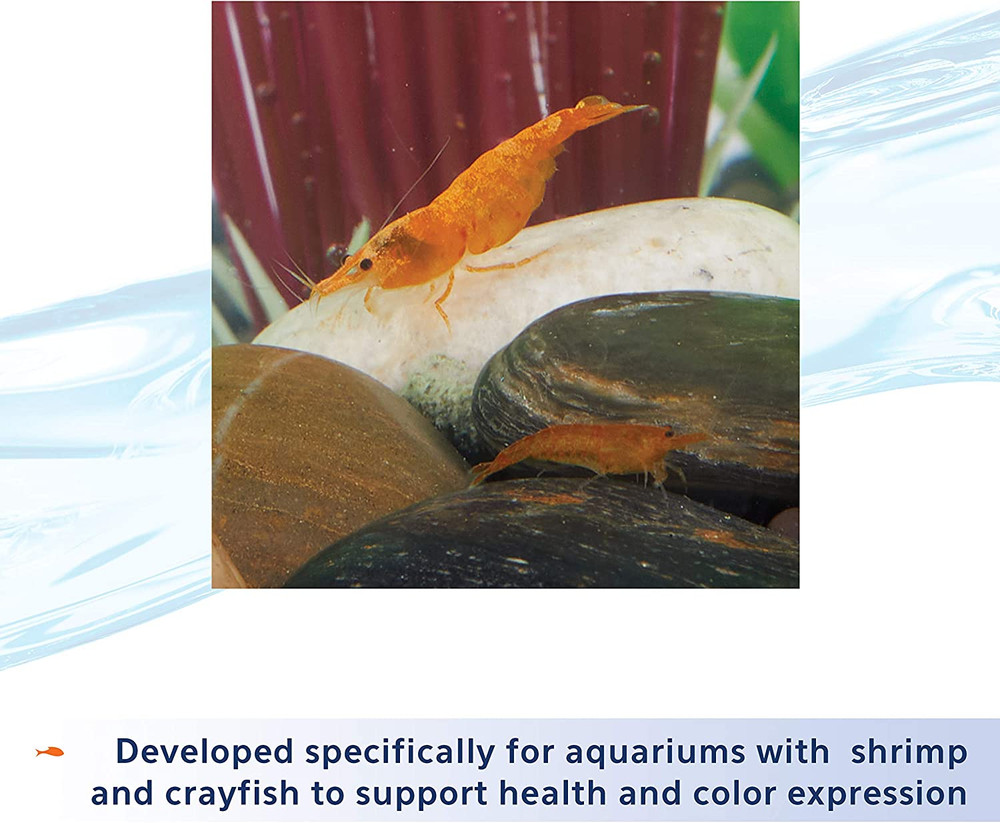 Shrimp Tank plus 4 Fluid Ounces