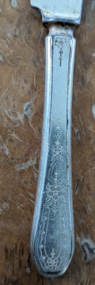 Vintage Warwick Silverpate Flatware 26 Pieces + 3 Other Misc Pieces