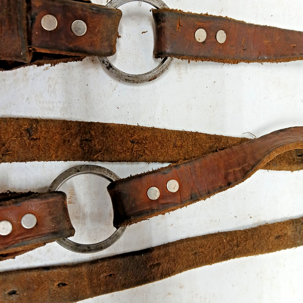 2 EACH, POLE OR TREE, CLIMBER STRAPS, BOTTOM STRAPS (2)