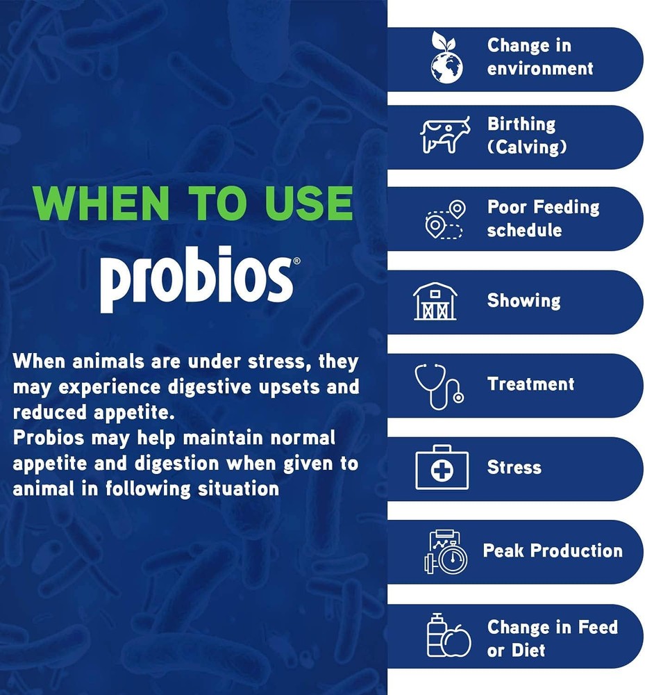 Probios Bovine 60gm