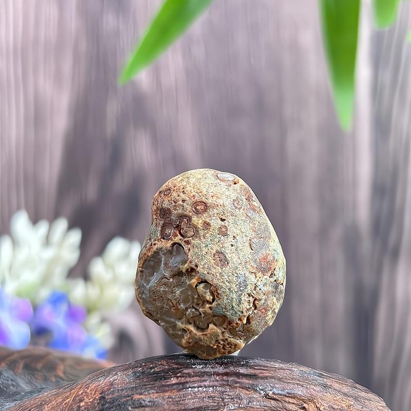 Christmas Gift China Inner Mongolia Gobi Rough Agate Specimen