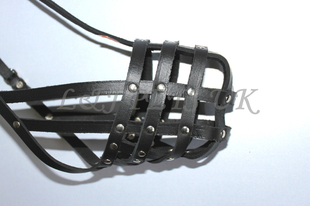 Light Real leather Dog Muzzle Czechoslovakian Wolfdog and Other