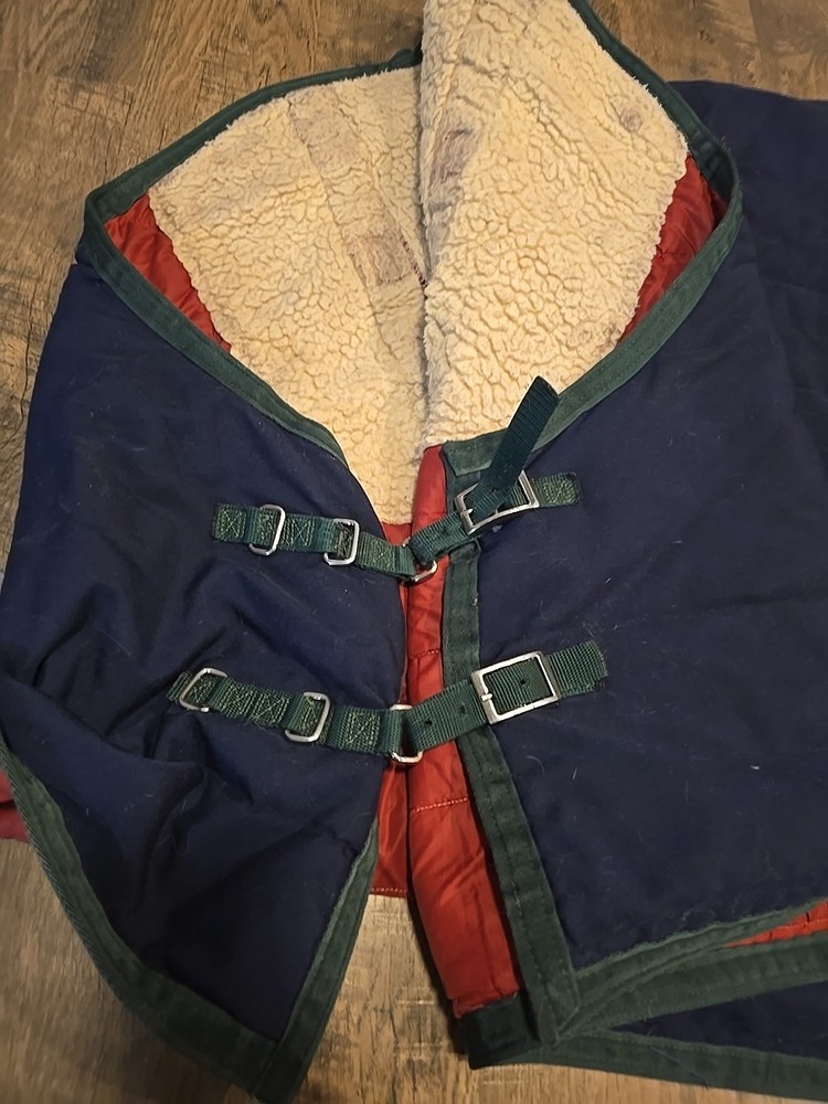 Horse Blanket 66