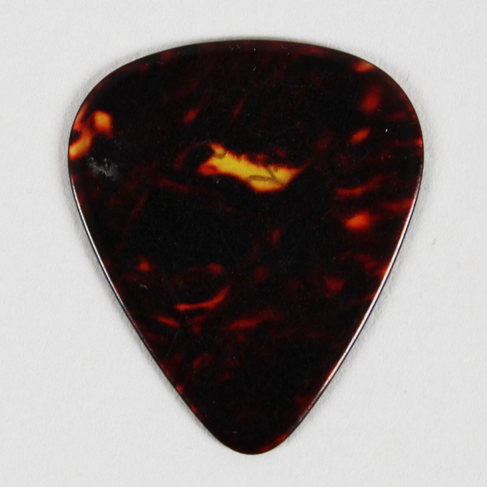 Dickey Betts Stage-Issued Guitar Pick