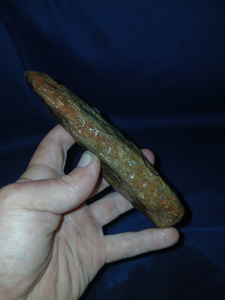 10.5 oz Texas Petrified Wood