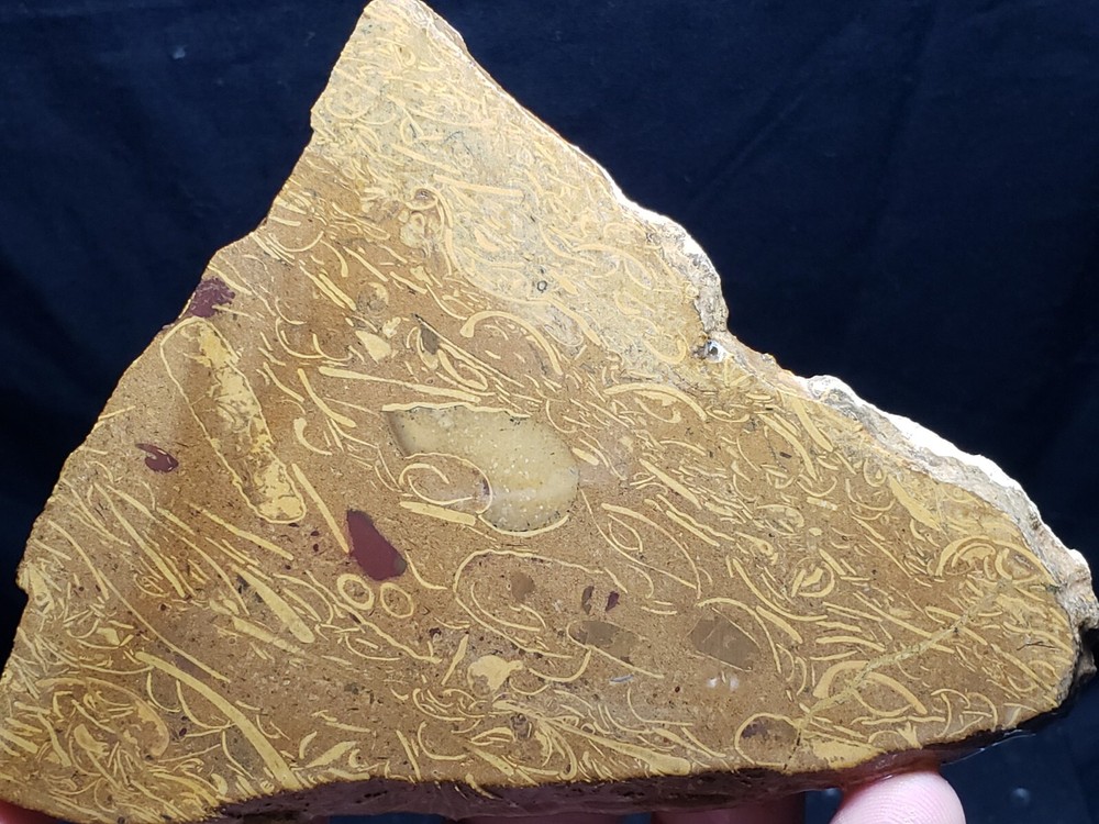 Script Stone rough slab from India (3.8 oz.)