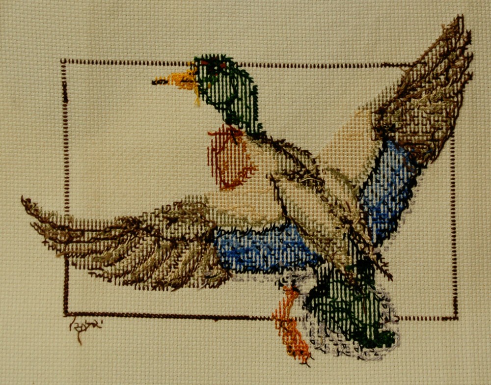UFO - Flying Mallard
