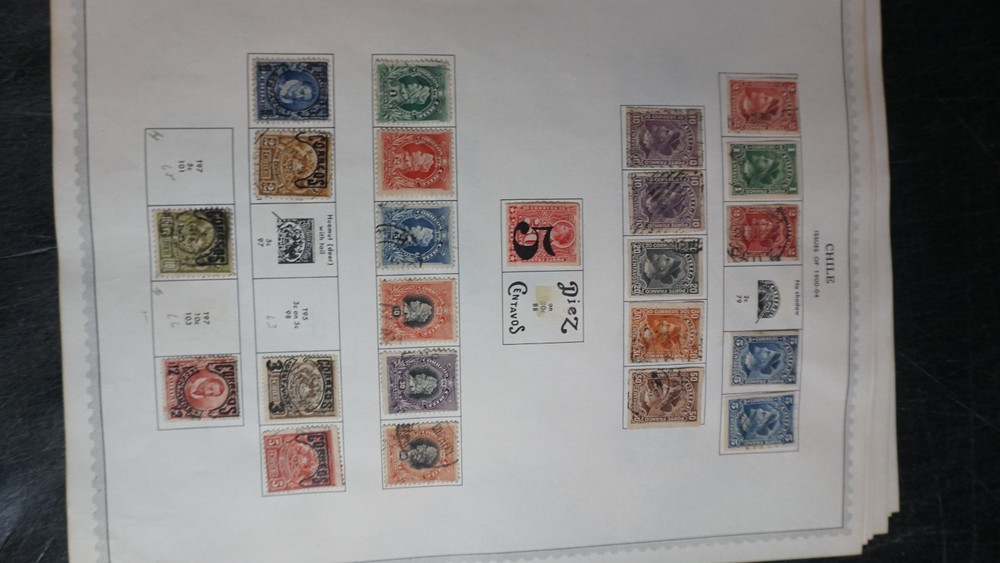 Chile fine collection on pages