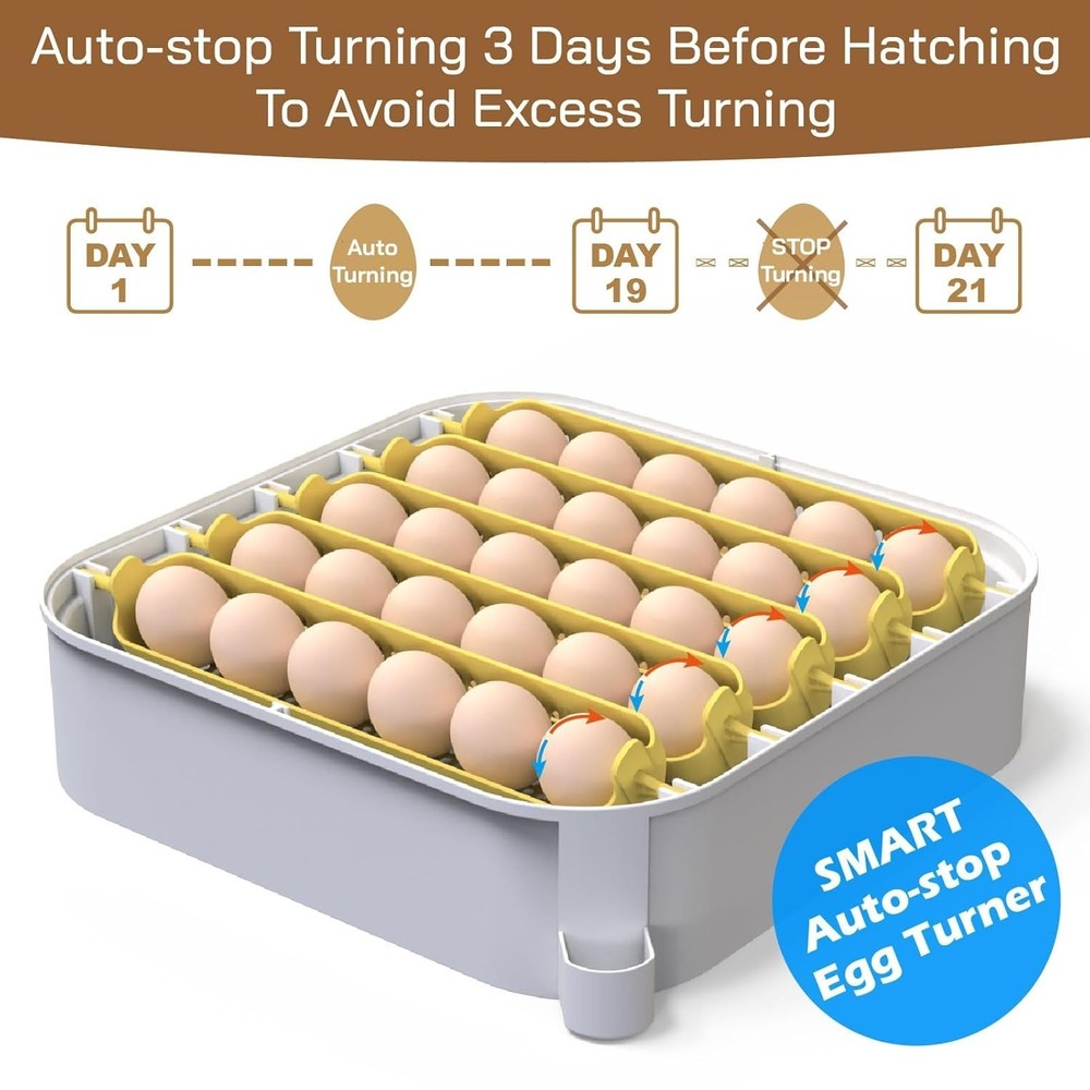 30 Egg Incubator with Humidity Display, Egg Candler, Automatic Egg Turner, for H