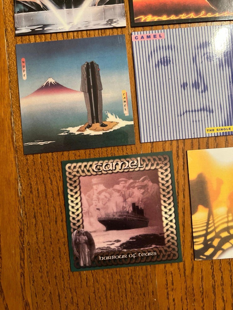 Camel fridge magnets