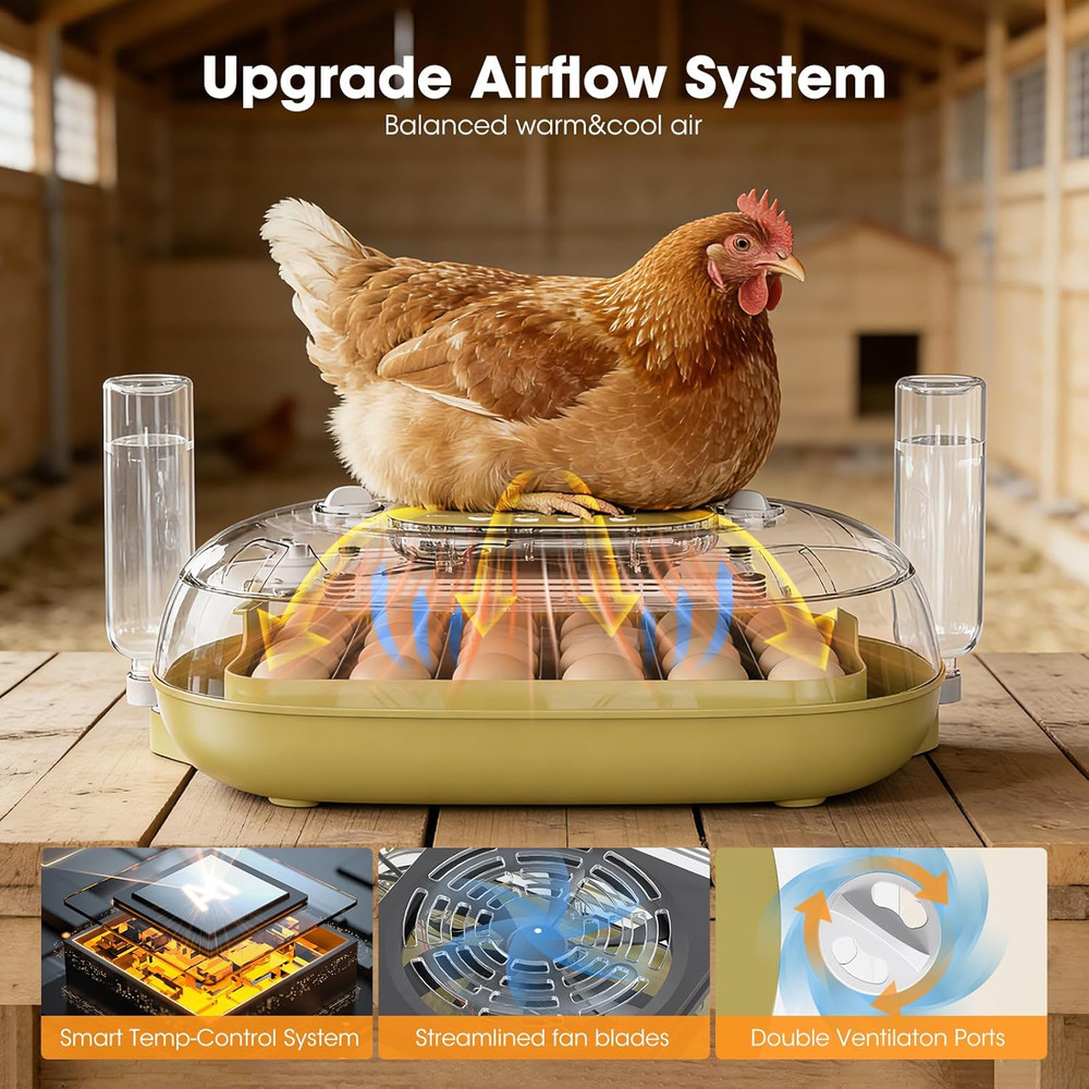 24 Egg Incubator for Hatching Eggs, Automatic Egg Turning, Temperature & Humidit