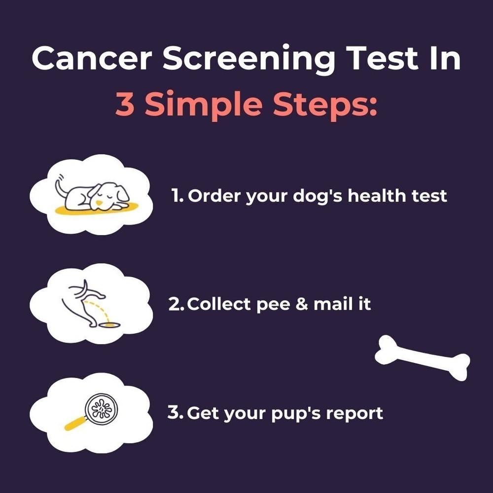 Oncotect Essential Dog Cancer Screening Test Kit OTC1
