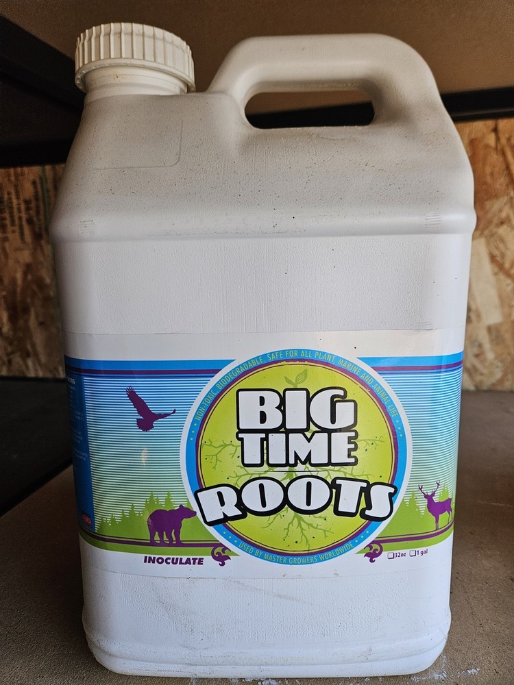 Big Time Roots