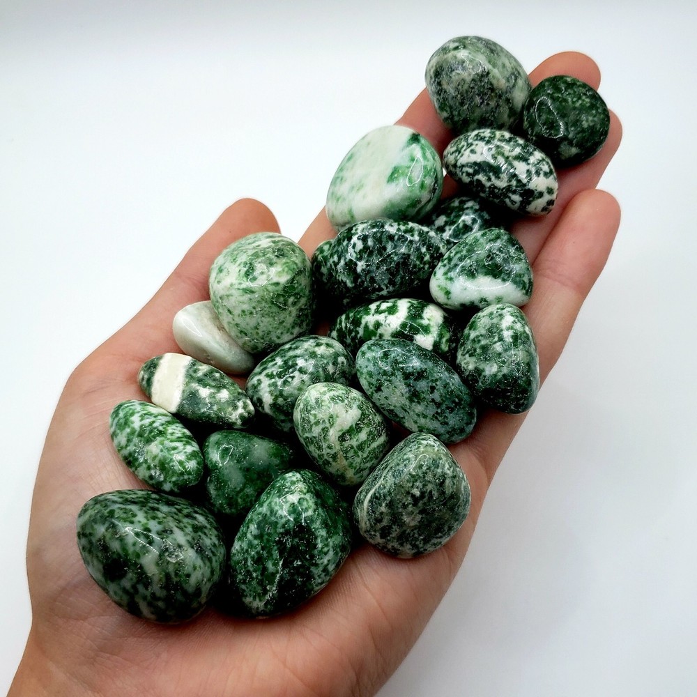 Tree agate - Tumbled & Polished Natural Healing Crystal Gemstones - 2pc