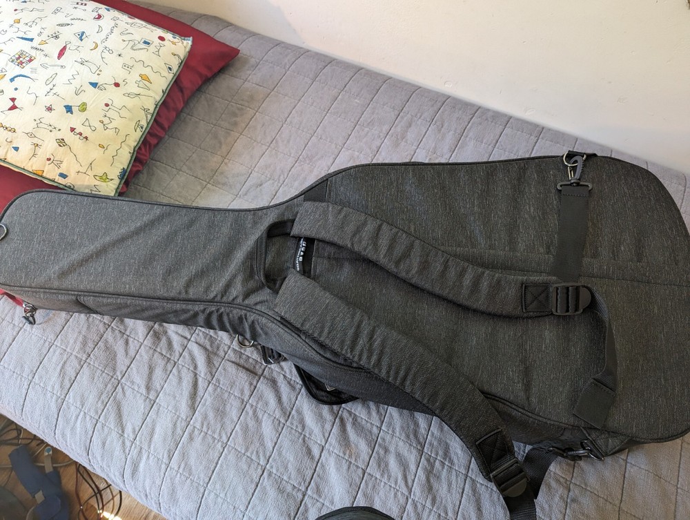 Washburn Bella Tono Elite W/Case