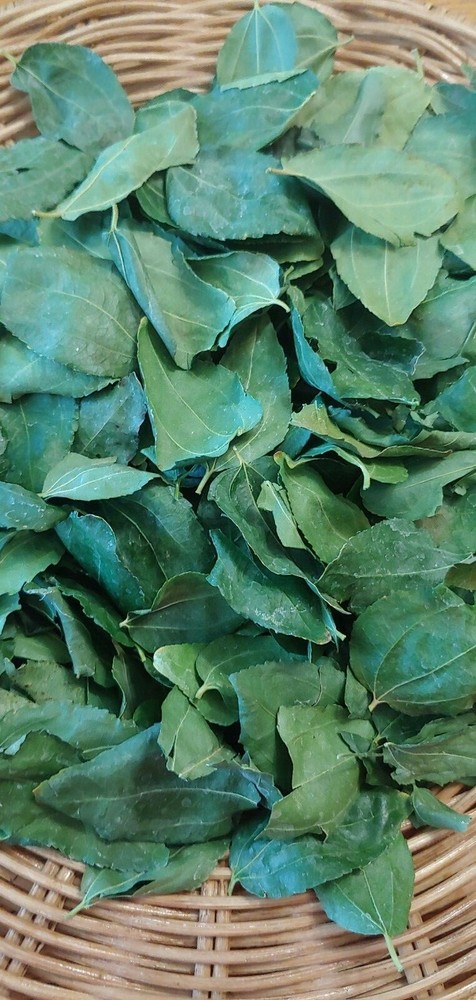 Dried Organic Jujube Leaves 2 oz