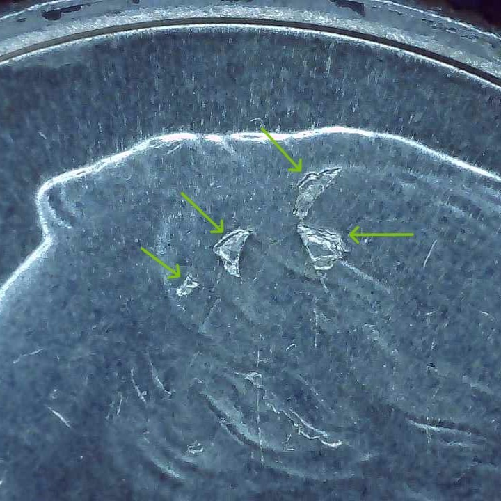 2021 P Dime error multiple die chips and misaligned die