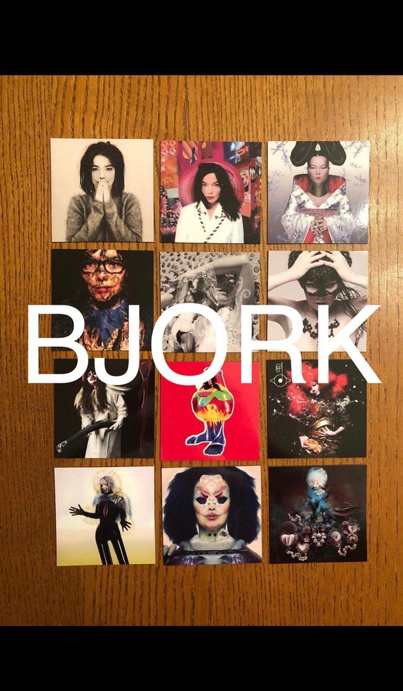 Bjork fridge magnets