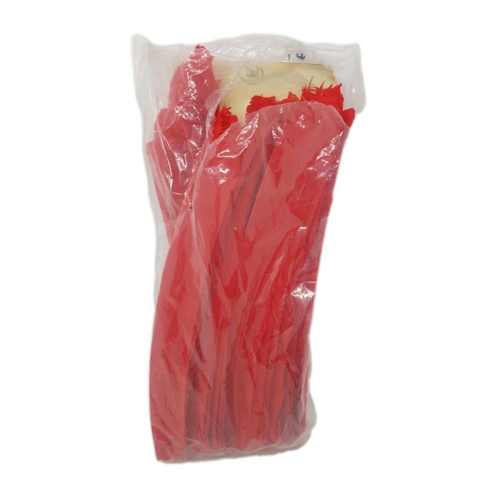 65 Count Gateway Feathers FULL LENGTH Right Wing: Rose Red