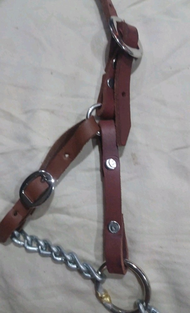 Natural Leather Halter