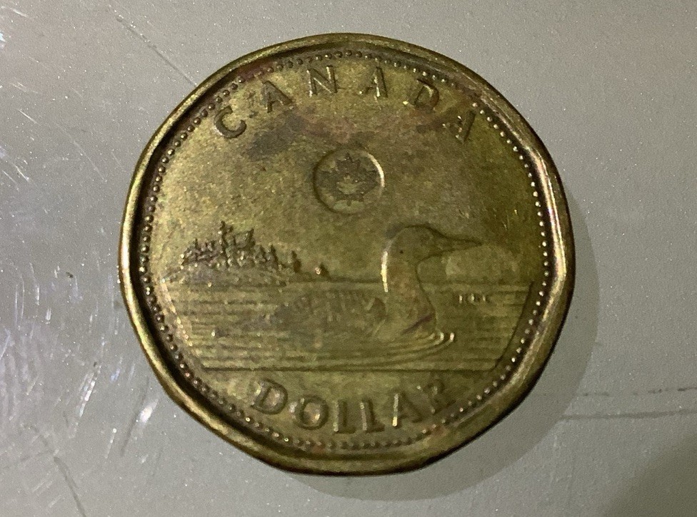 Canada 1 Dollar 2013 Circulated