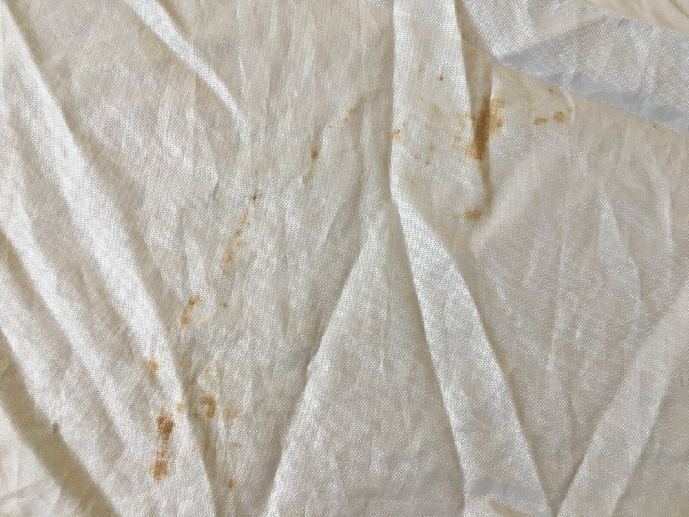 Flash Lighting Soft Box 24" x 36" with ring mount included