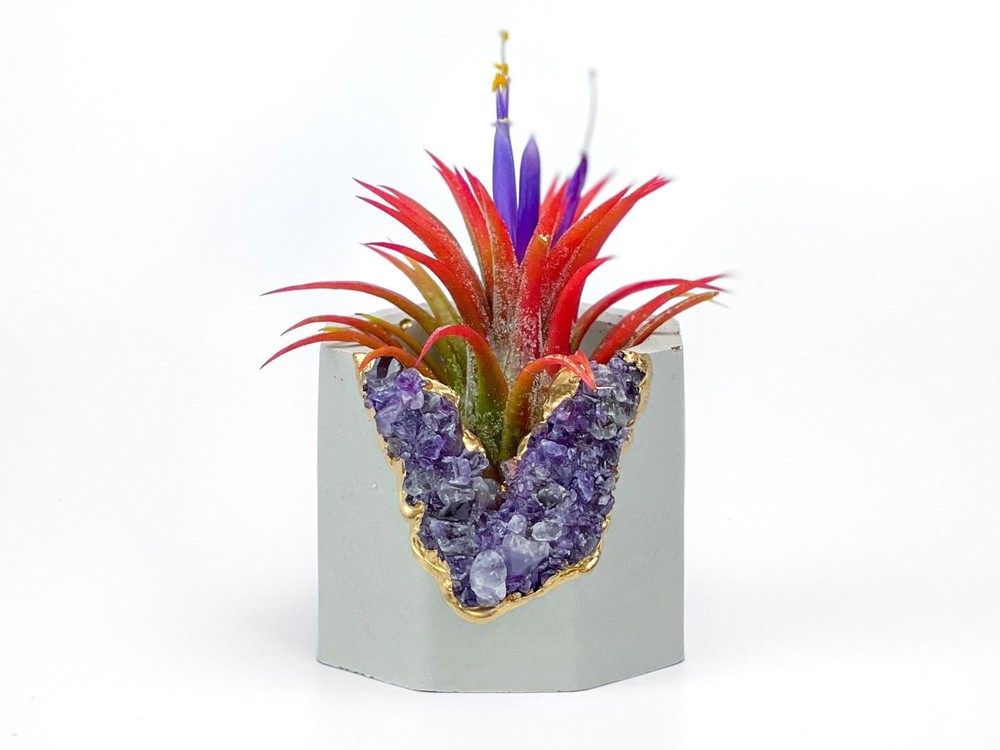 Amethyst Crystal Concrete Planter | Geode Succulent Pot
