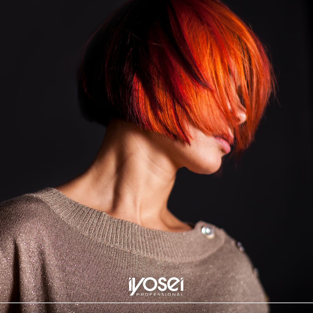 IYOSEI PROFESSIONAL LUXURY COLORS