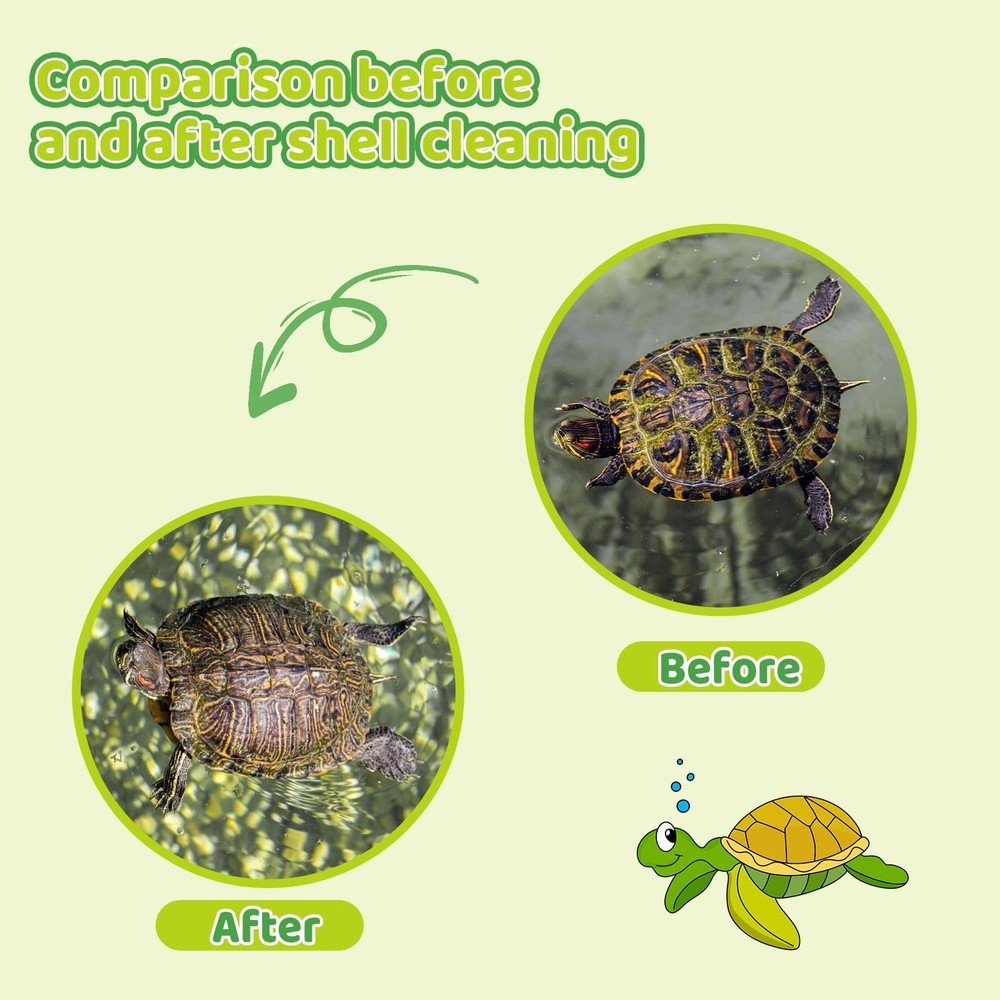 Turtle Brush with Suction Cup Turtle Shell Cleaning Brush Turtle Scrub Scratc