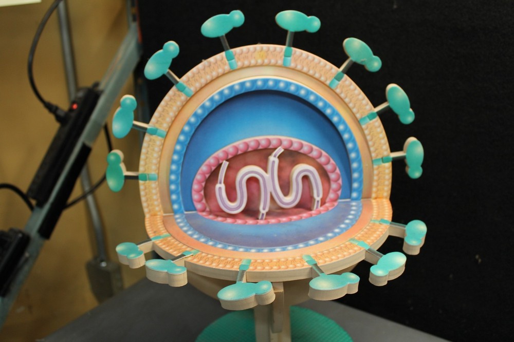 Vintage Foam Virus Education model