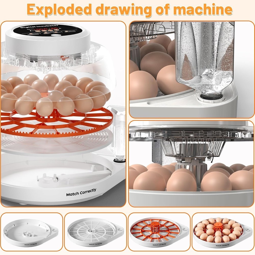 12 Egg Incubator for Hatching Eggs with Automatic Egg Turning, Temperature & ...