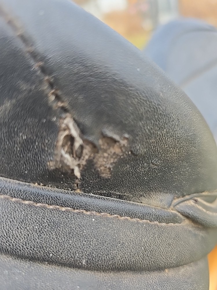 Dressage Saddle Synthetic