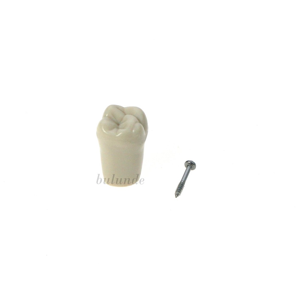 US Dental Tooth Model Columbia Dentoform 860 Type With 32pcs Replacement Teeth