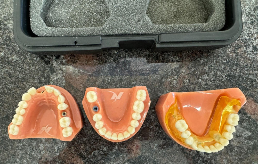 Nobel Biocare Education Models with Case
