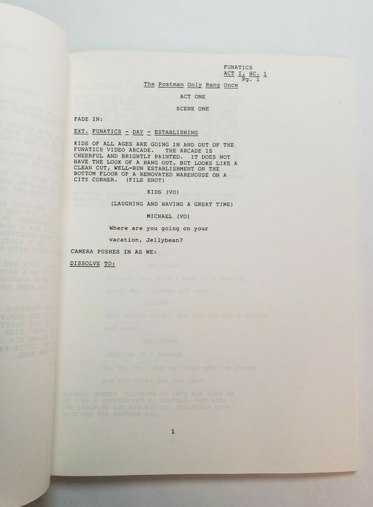 FUNATICS / Misty Stewart-Taggart 1989 Unproduced TV Script, Pilot Presentation